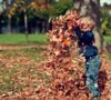 Kinderschuhe Herbst